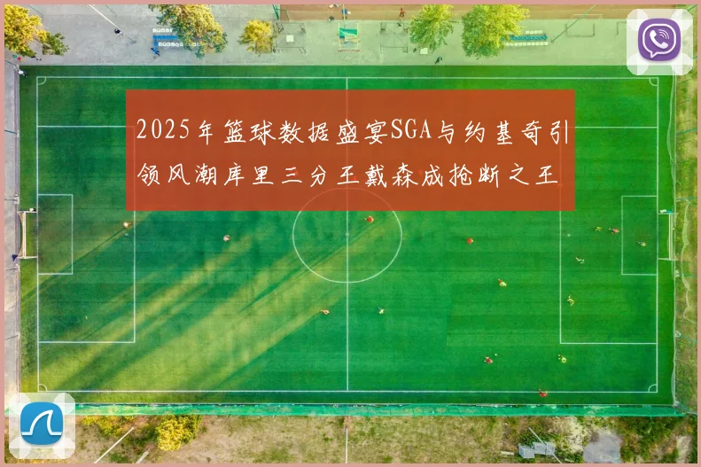 2025年篮球数据盛宴SGA与约基奇引领风潮库里三分王戴森成抢断之王
